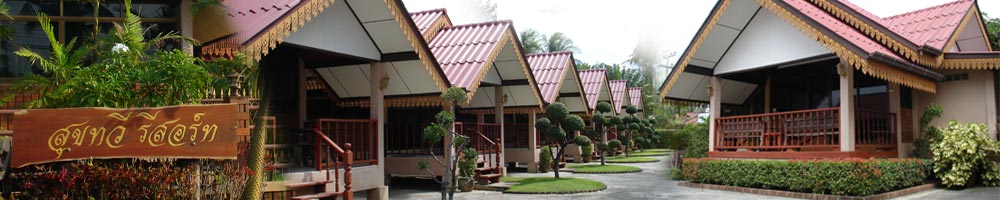 Css Template Preview