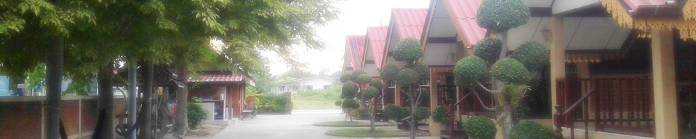 Css Template Preview